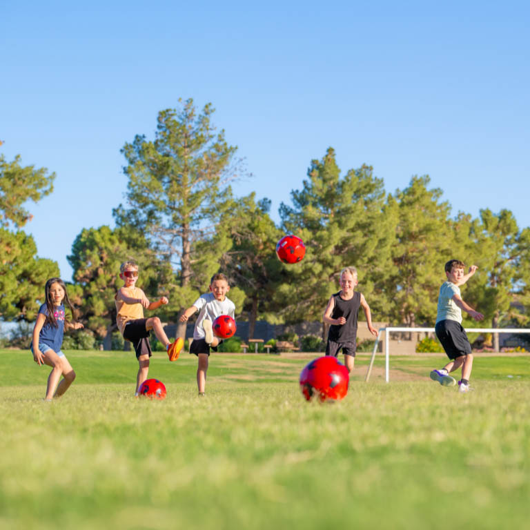 Sportball Camps